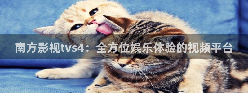 奇奇米影视第四色：南方影视tvs4：全方位娱乐体验的视频平台
