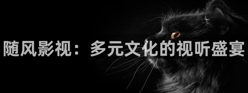 奇奇电影：随风影视：多元文化的视听盛宴