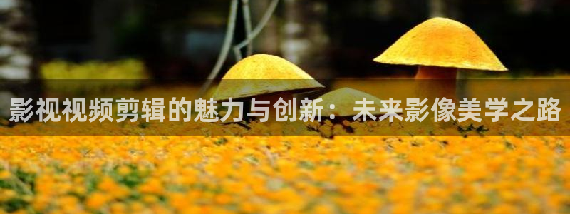 777米奇奇米在线影院：影视视频剪辑的魅力与创新：未来影像美学之路