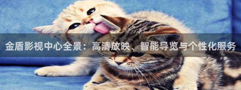 奇奇影视理论：金盾影视中心全景：高清放映、智能导览与个性化服务