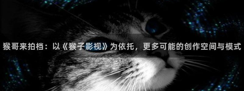 奇奇影院官网：猴哥来拍档：以《猴子影视》为依托，更多可能的创作空间与模式